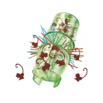 Juego de mesa Monky loco viajero - Ditoys. - Imagen 2