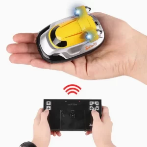 Barco a radio control